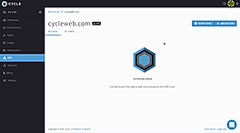 DNS Linked