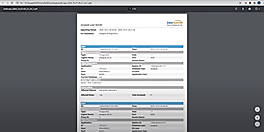 Report Format