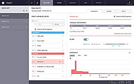Data Set Variable Information