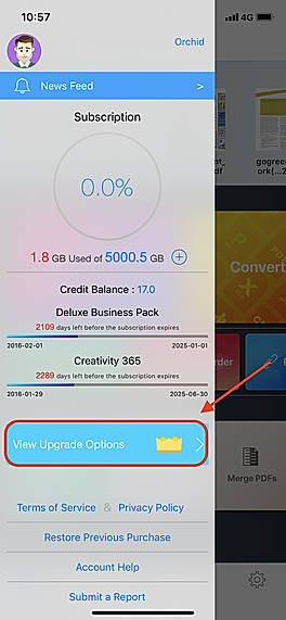 View Upgrade Options 2