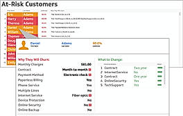 At - Risk - Customers