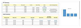 Summary of Audit Cases