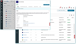 Software Asset Management