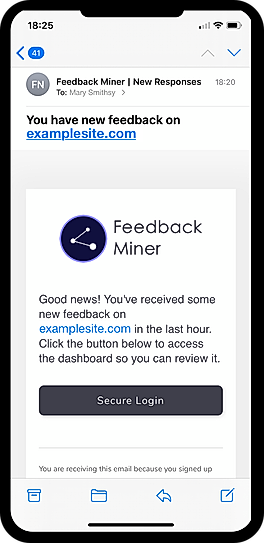 Feedback Miner : screenshot