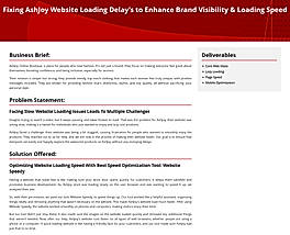 Fixing AshJoy Website Loading Delay’s to Enhance Brand Visibility & Loading Speed