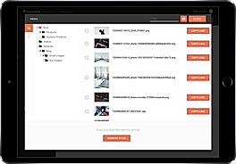 Flamelink screenshot