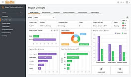 Project Oversight