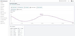 Conversion report