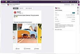 Schedule and Publish Posts
