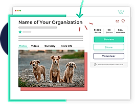 Organization Name