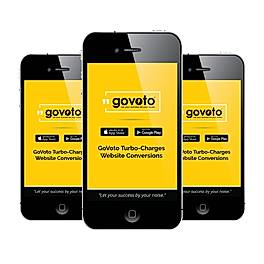 GoVoto screenshot