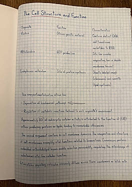 Example