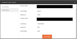 Token Name