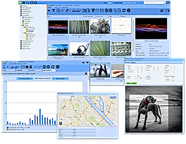 G2crowd : Support for all Devices screenshot