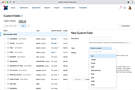 Custom fields