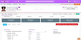 Loan Overview