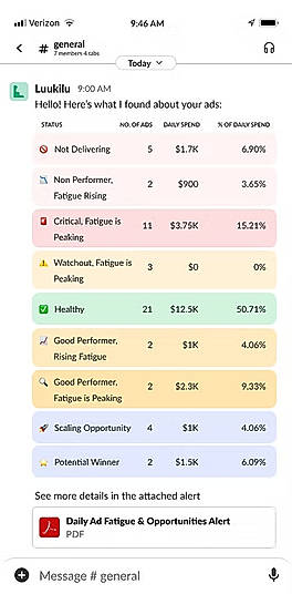 Finds fatiguing ads and scaling opportunities
