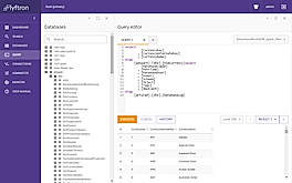 Query Screen