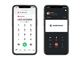 Online dial pad and call, with in-call display video screenshot