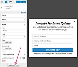 Mailoptin Custom Fields