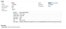 Capture Jira Issues and Bugs