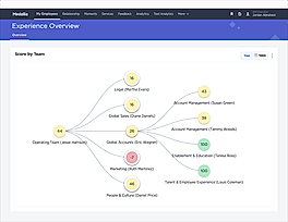 Medallia Experience Cloud screenshot