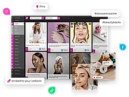 Embed Website