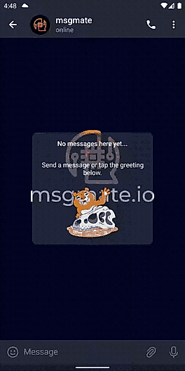 Login to msgmate
