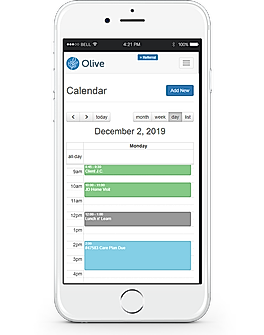 Olive screenshot