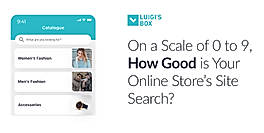 On a Scale of 0 to 9, How Good is Your Online Store’s Site Search?