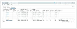 ERP/Accounting System Integration
