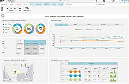 Sales Analysis screenshot