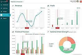 Risk Profile