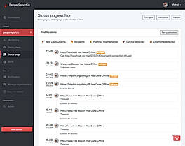 PepperReport.io screenshot