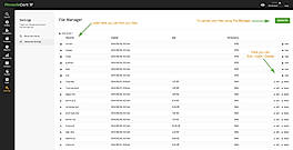 File Manager