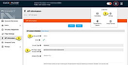 API Information