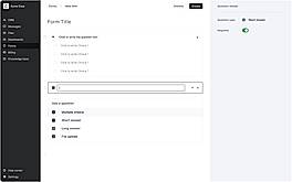 Form title