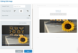 Image Editing