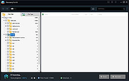 File Type