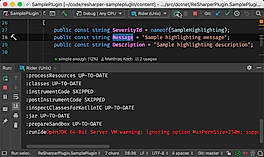 ReSharper_Plugin