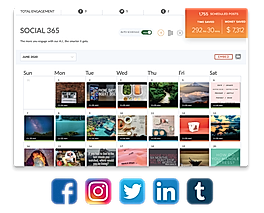 Social 365