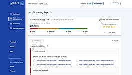Report