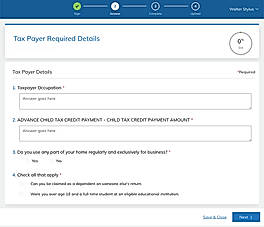 Tax Payer Details