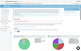Analyzes Site Content