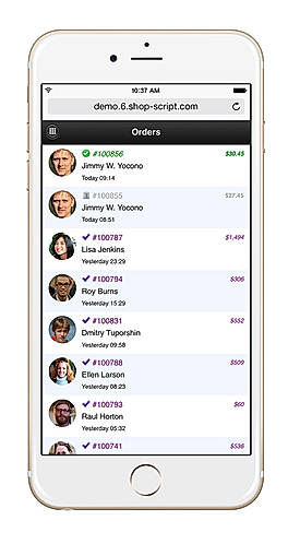 Mobile Version