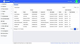 Skytel SIP Trunk : Dashboard screenshot