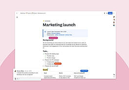 Project Launch