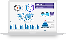 Snap Wallet