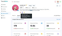 Influencer search