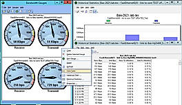 Bandwidth Gauges
